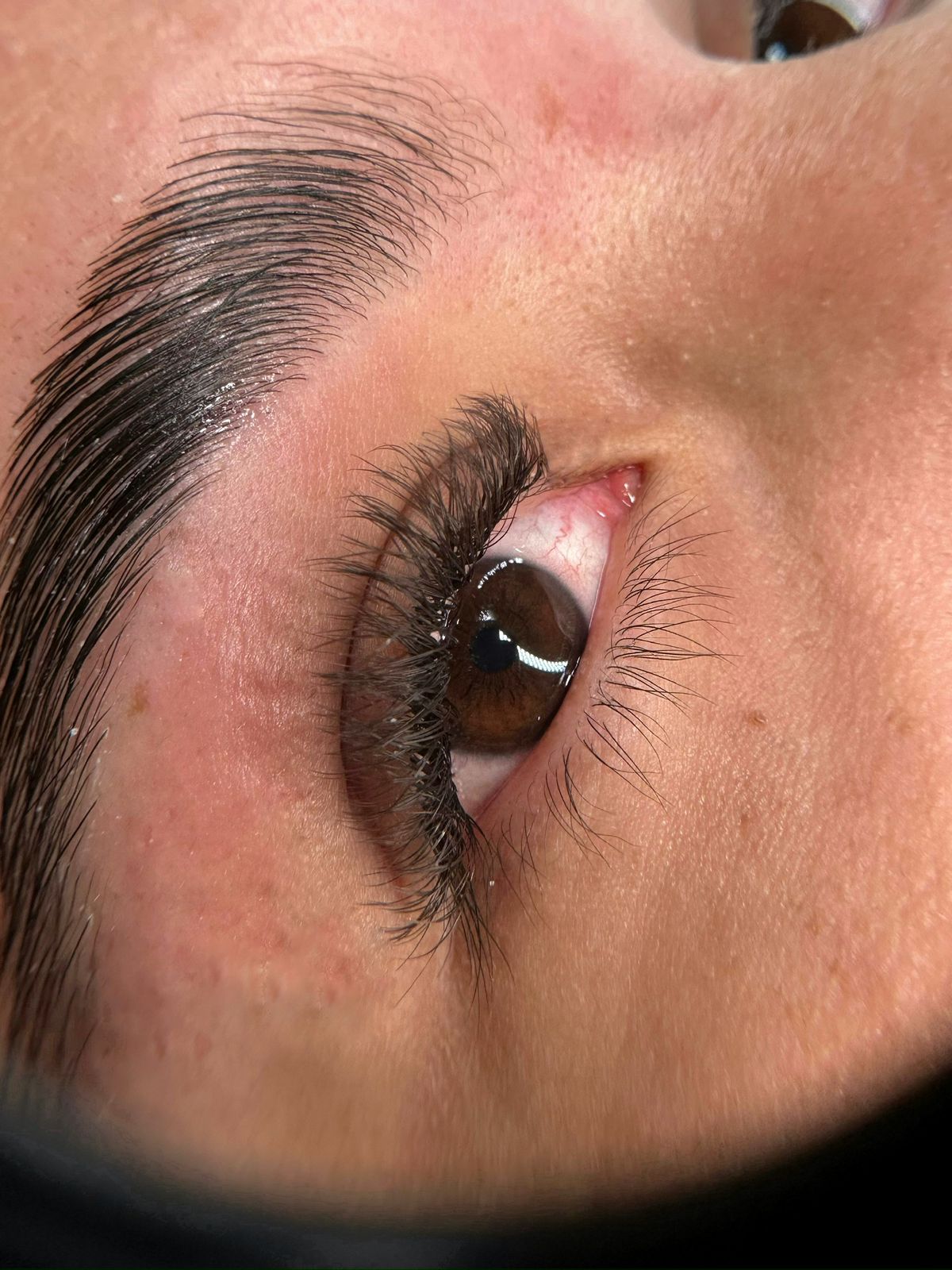 Volume Brasileiro Castanho (colocação)