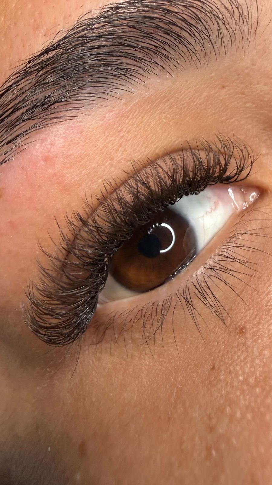 Volume Brasileiro Castanho (colocação)